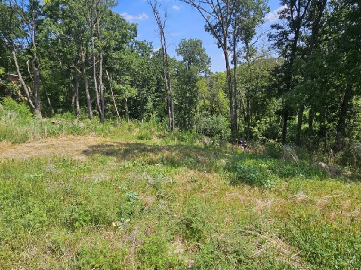 Picture of Residential Land For Sale in East Troy, Wisconsin, United States