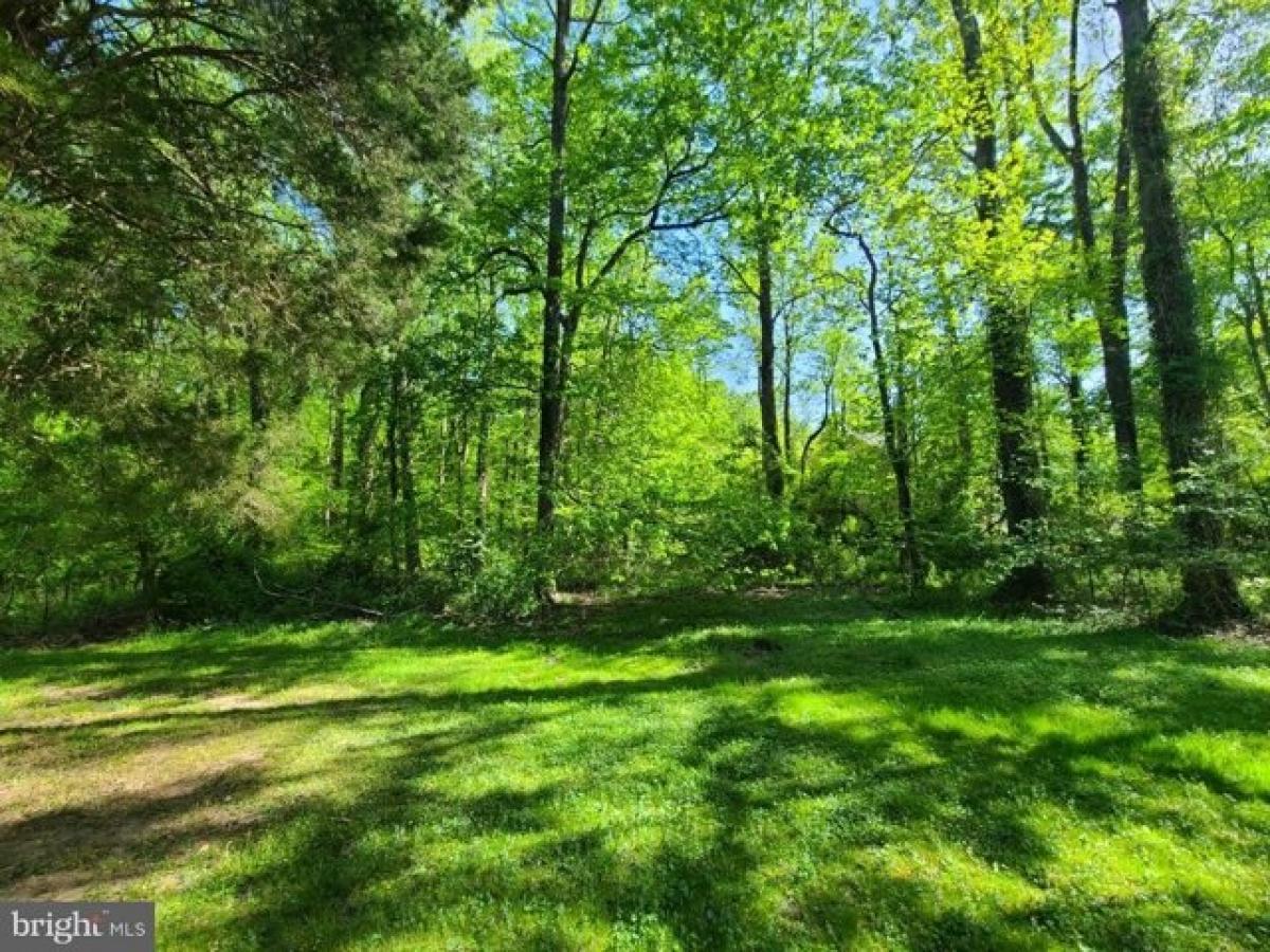 Picture of Residential Land For Sale in Lorton, Virginia, United States