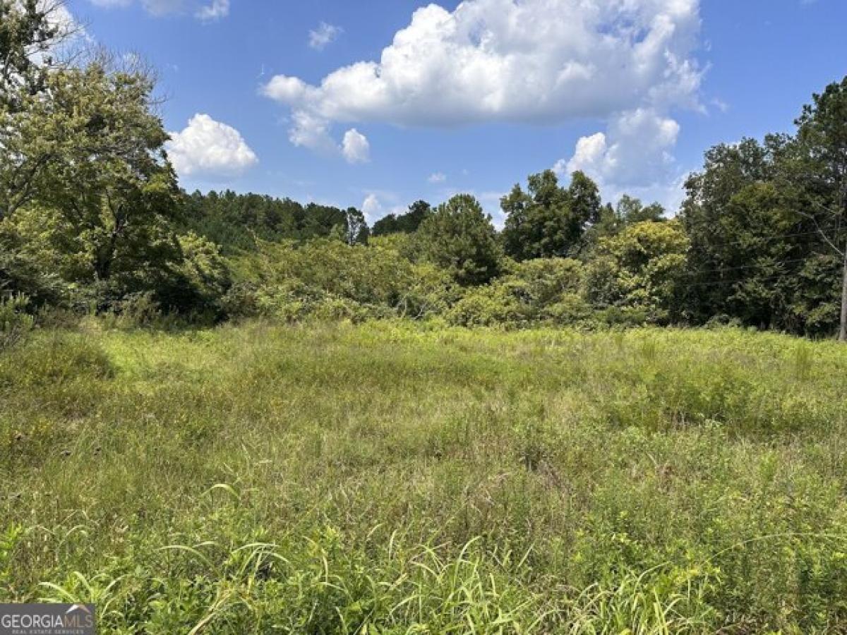 Picture of Residential Land For Sale in Rockmart, Georgia, United States