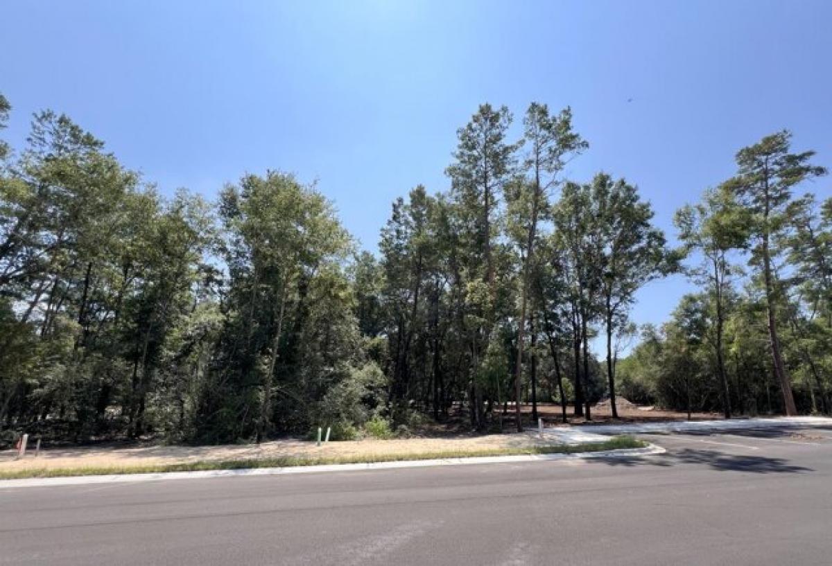 Picture of Residential Land For Sale in Niceville, Florida, United States