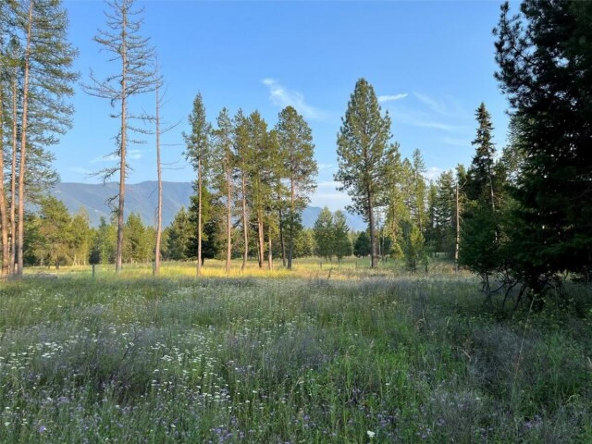 Picture of Residential Land For Sale in Columbia Falls, Montana, United States