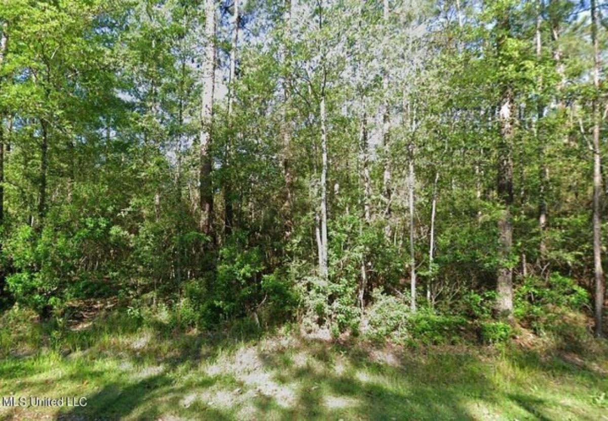 Picture of Residential Land For Rent in Kiln, Mississippi, United States