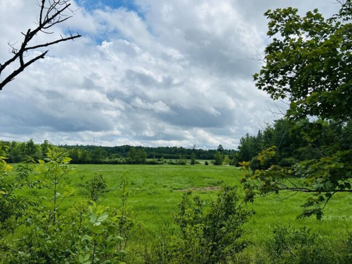 Picture of Residential Land For Sale in Hudson, Maine, United States