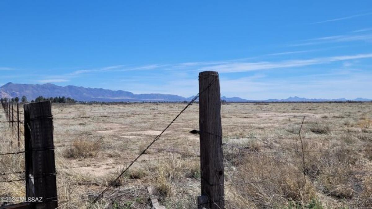 Picture of Residential Land For Sale in Elfrida, Arizona, United States