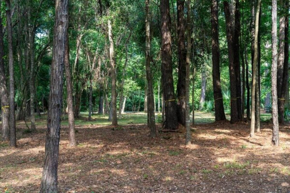 Picture of Residential Land For Sale in Edisto Island, South Carolina, United States