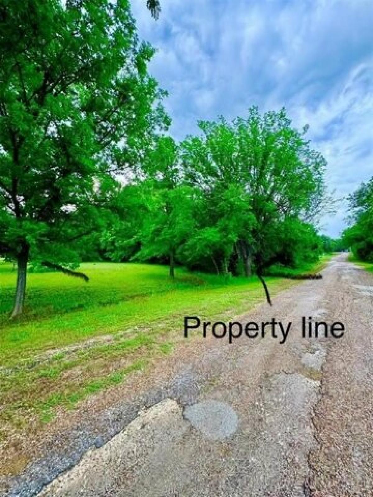 Picture of Residential Land For Sale in Alvarado, Texas, United States