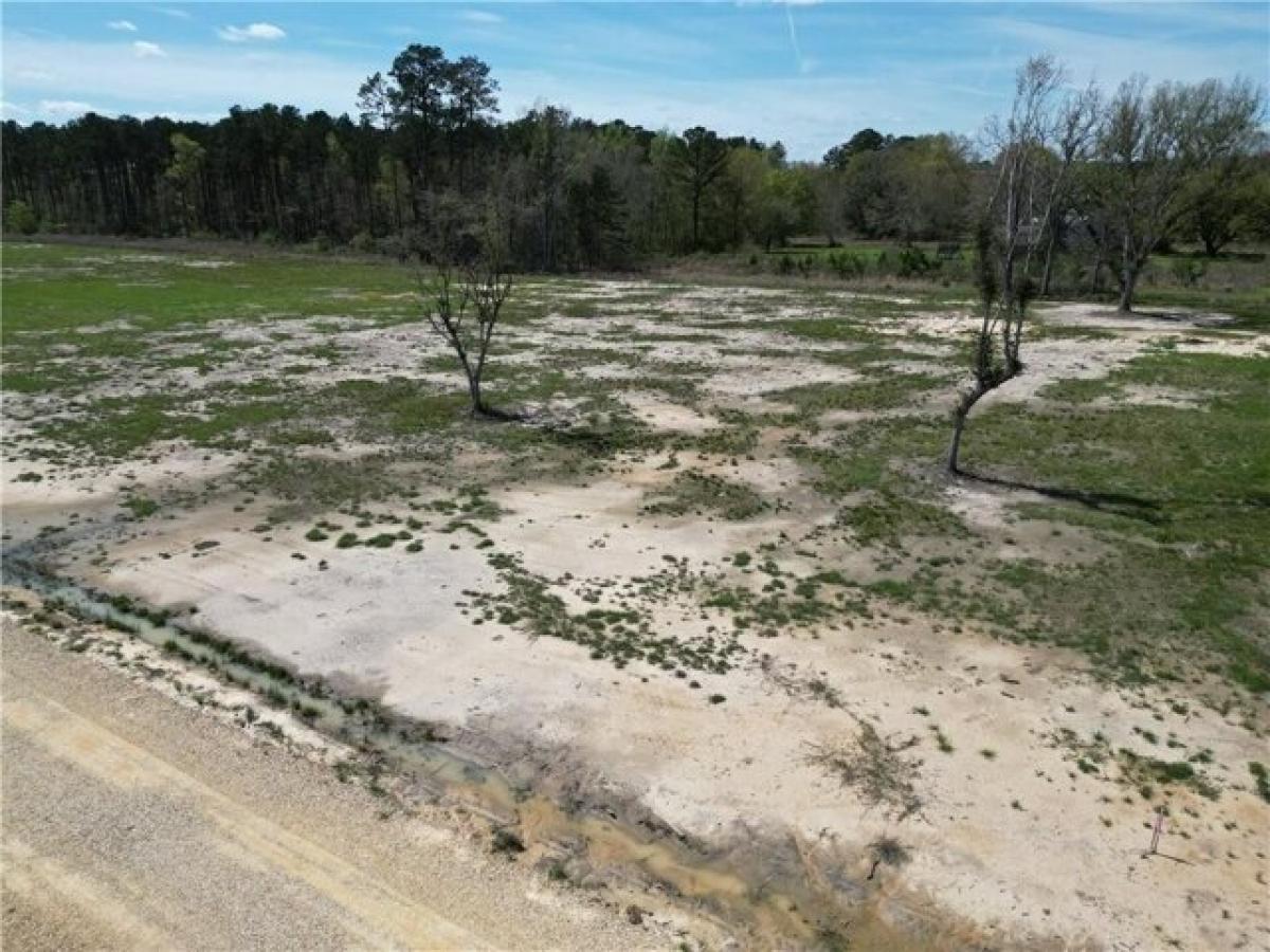 Picture of Residential Land For Sale in Independence, Louisiana, United States