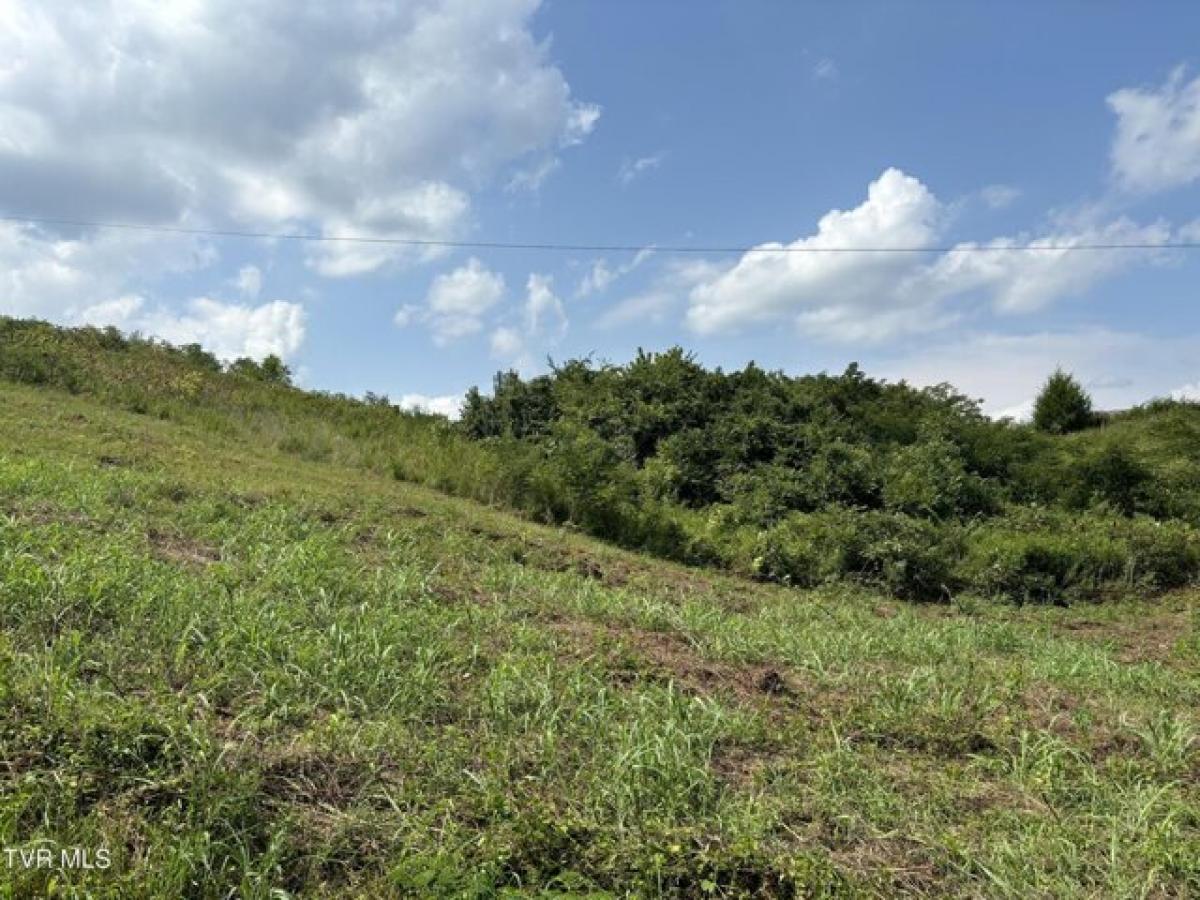 Picture of Residential Land For Sale in Midway, Tennessee, United States