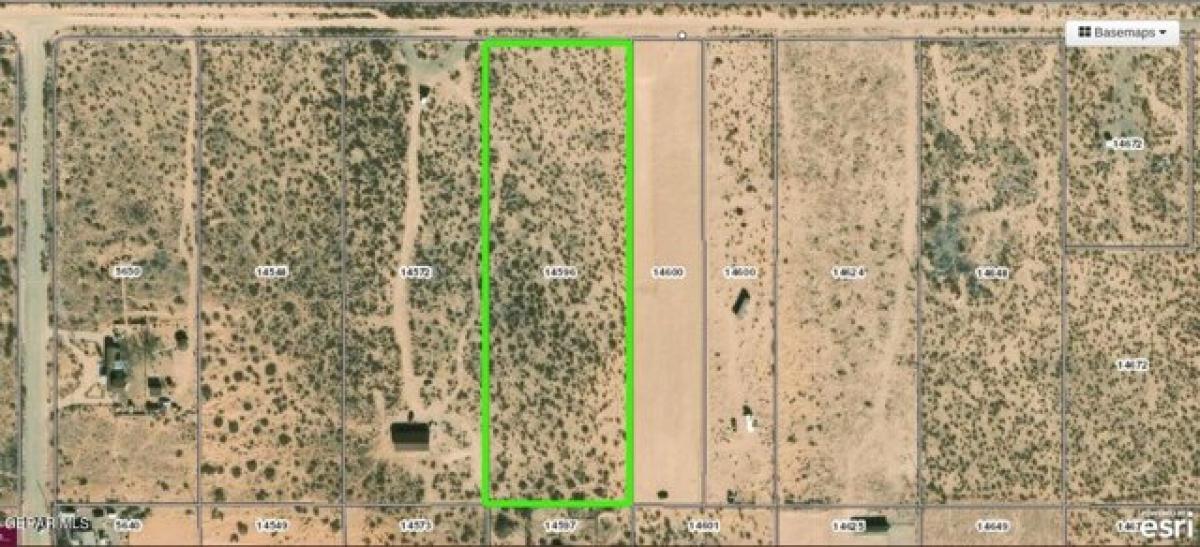 Picture of Residential Land For Sale in Clint, Texas, United States