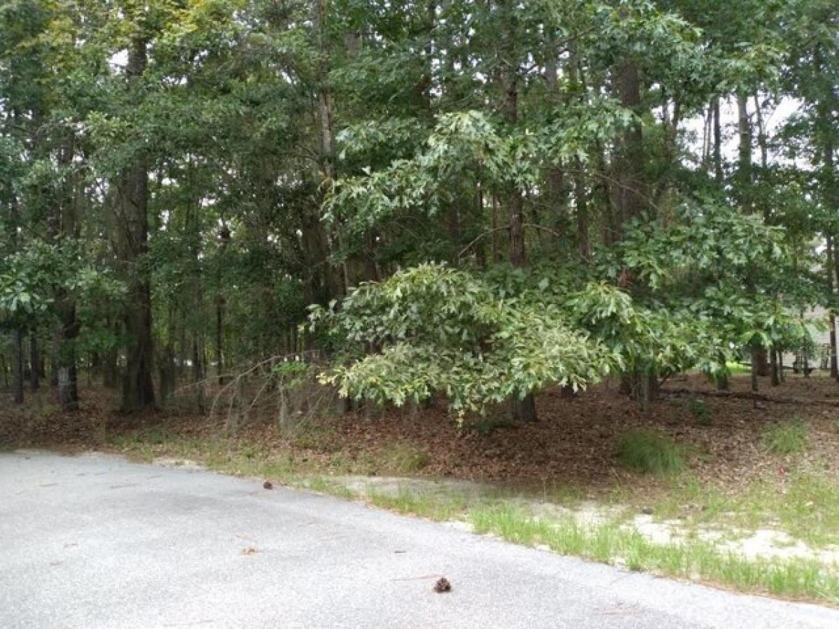 Picture of Residential Land For Sale in Elloree, South Carolina, United States