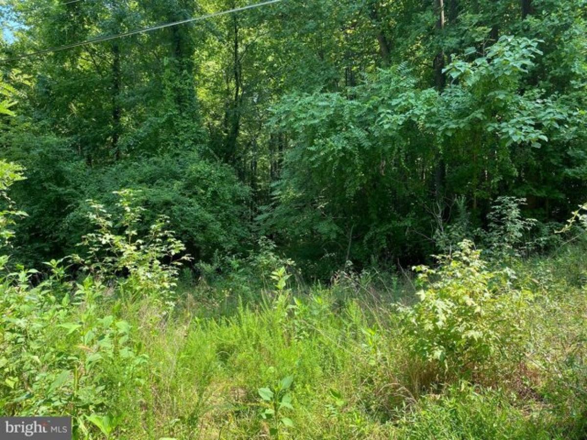 Picture of Residential Land For Sale in King George, Virginia, United States