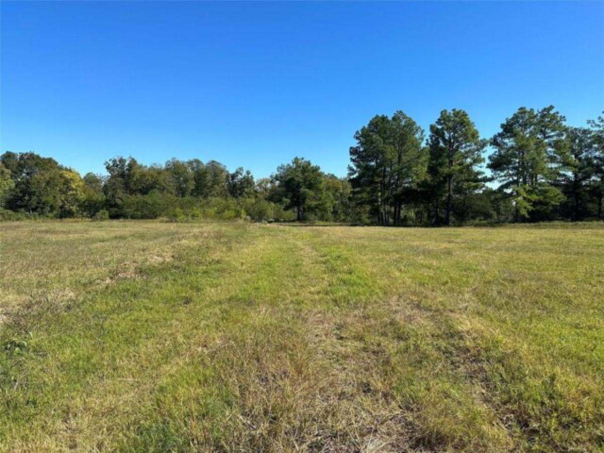 Picture of Residential Land For Sale in Sulphur Springs, Texas, United States