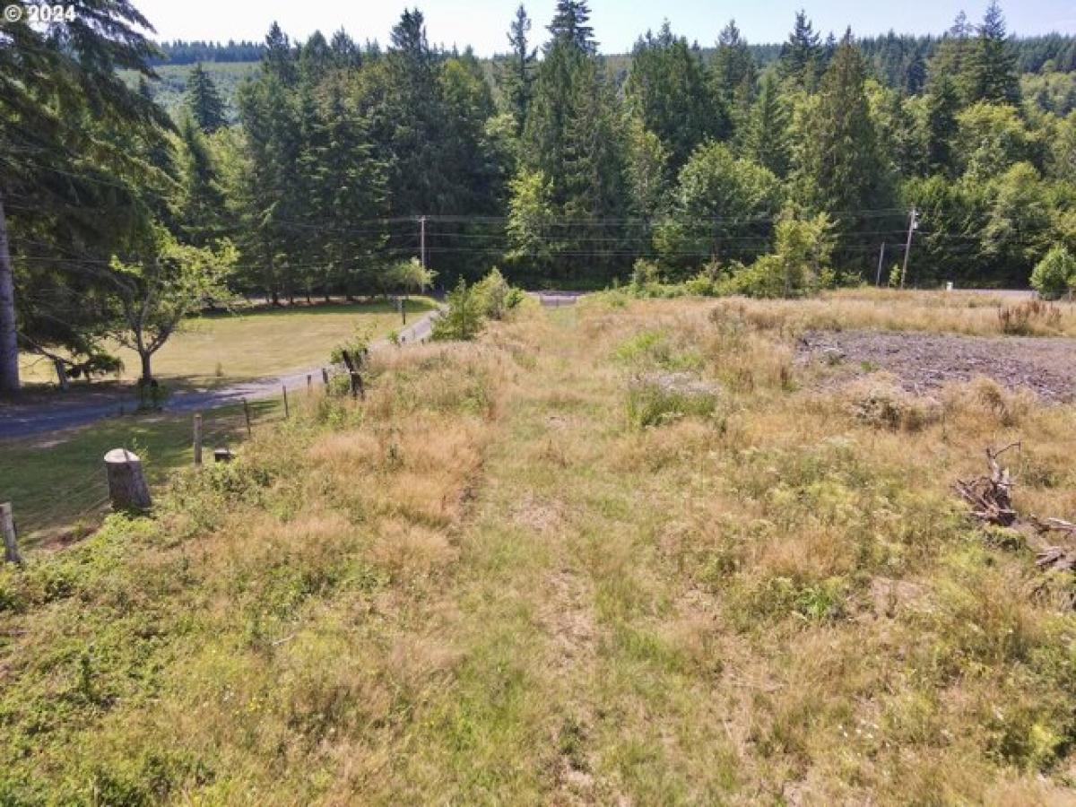 Picture of Residential Land For Sale in Clatskanie, Oregon, United States