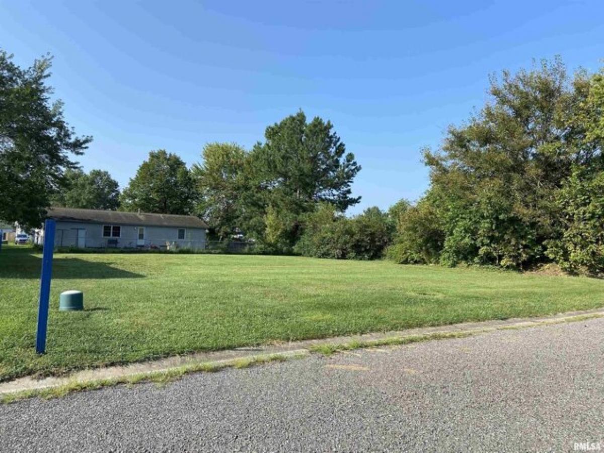 Picture of Residential Land For Sale in Salem, Illinois, United States