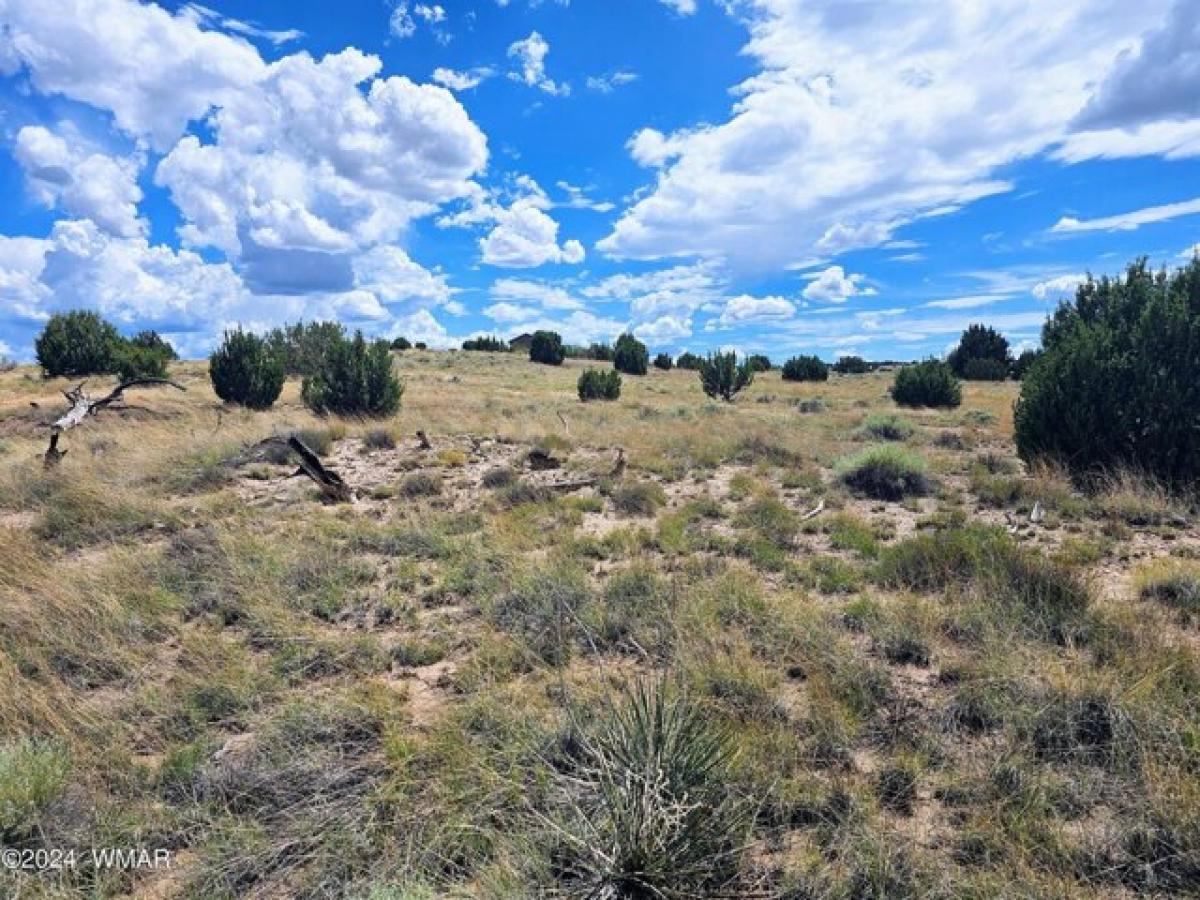 Picture of Residential Land For Sale in Taylor, Arizona, United States