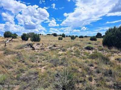 Residential Land For Sale in Taylor, Arizona