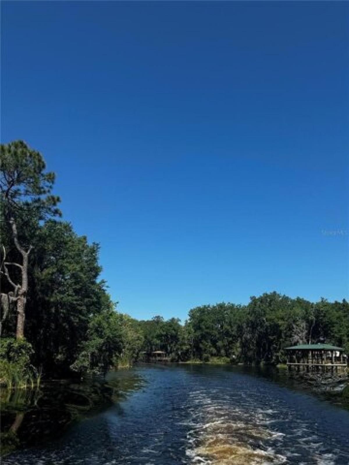 Picture of Residential Land For Sale in Tavares, Florida, United States