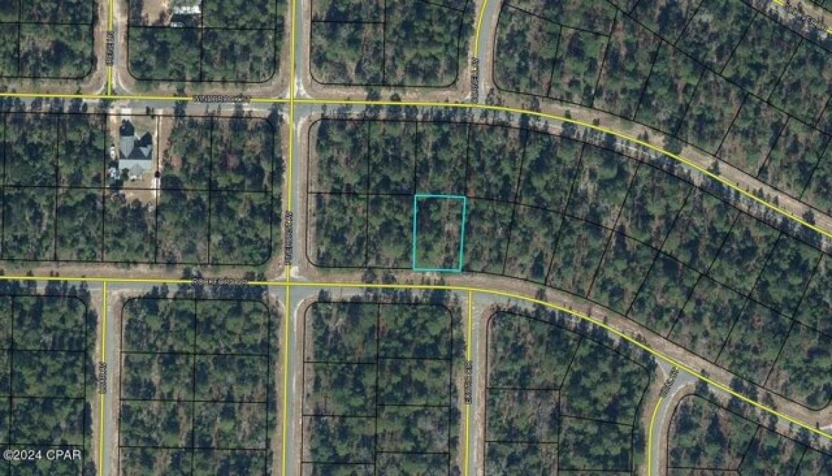 Picture of Residential Land For Rent in Chipley, Florida, United States