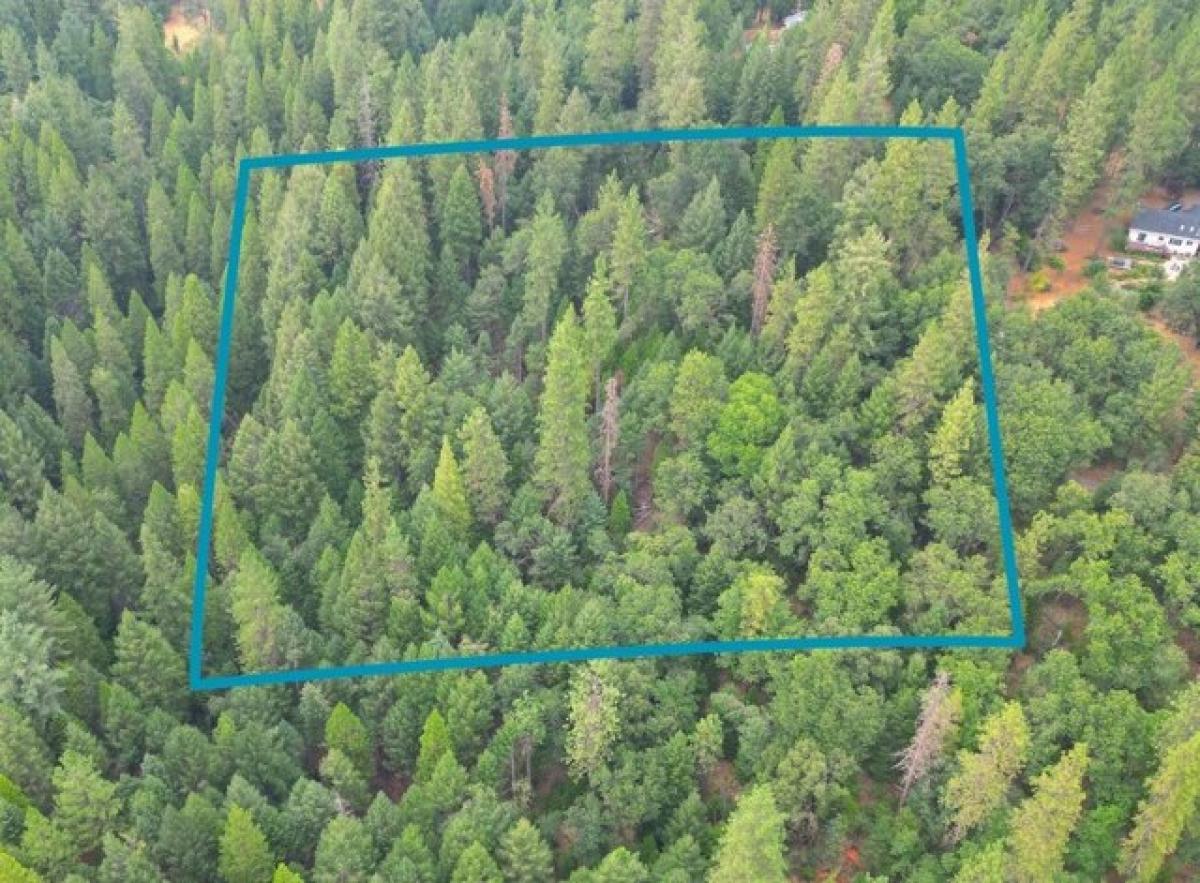 Picture of Residential Land For Sale in Grass Valley, California, United States