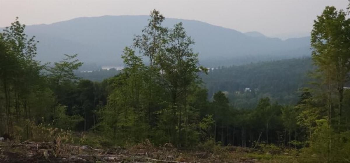 Picture of Residential Land For Sale in Errol, New Hampshire, United States