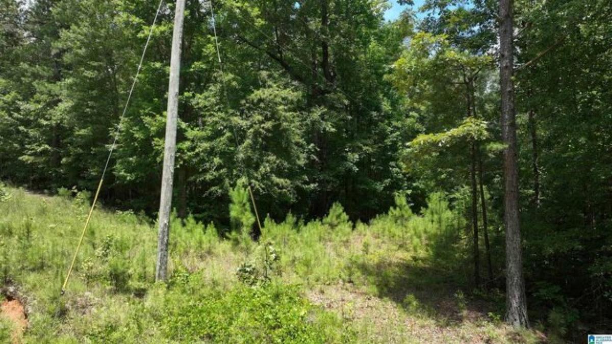 Picture of Residential Land For Sale in Heflin, Alabama, United States