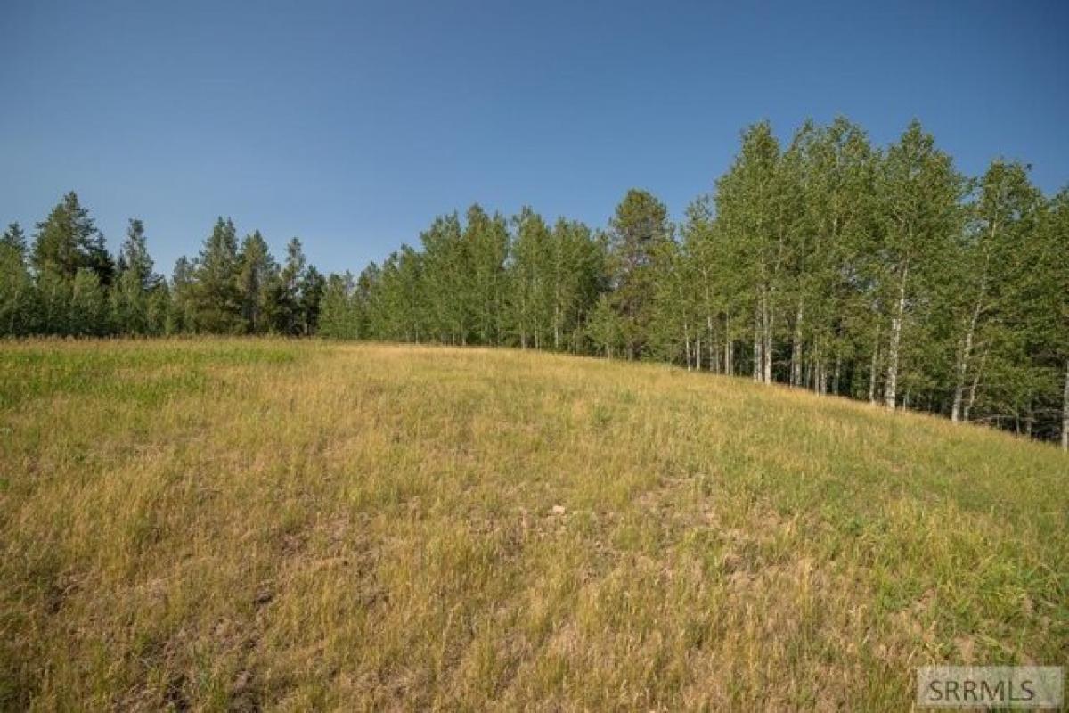 Picture of Residential Land For Sale in Ashton, Idaho, United States