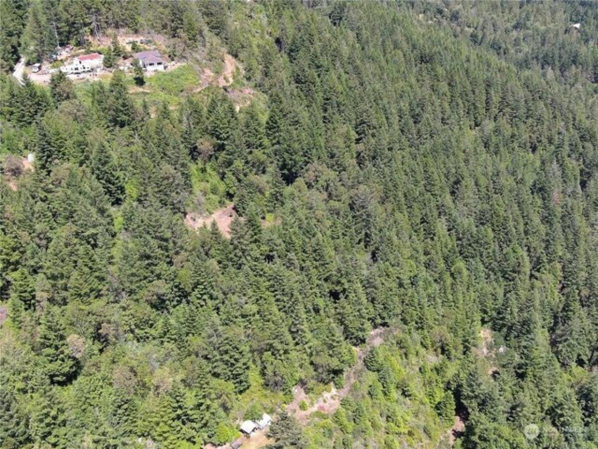 Picture of Residential Land For Sale in Brinnon, Washington, United States