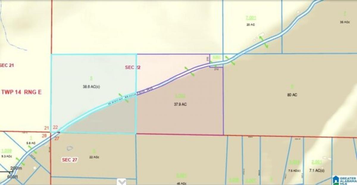 Picture of Residential Land For Sale in Ashville, Alabama, United States