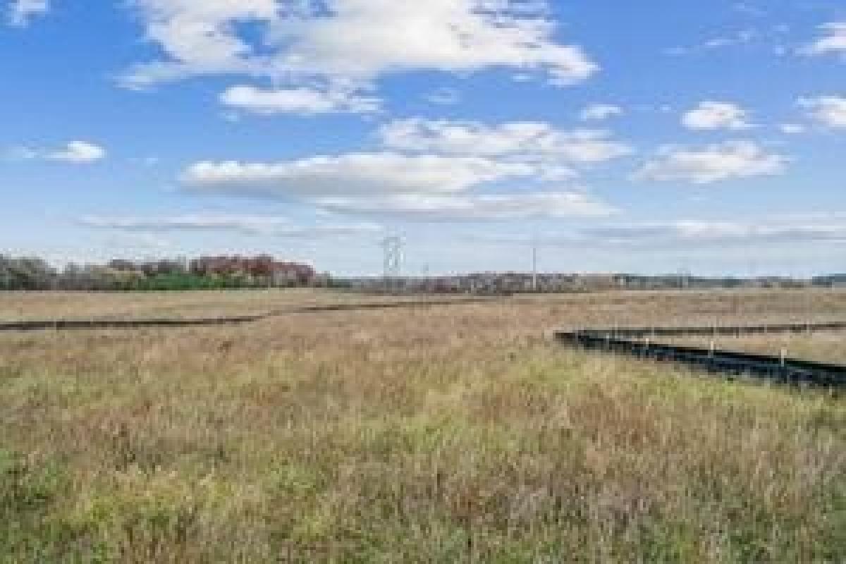 Picture of Residential Land For Sale in Scandia, Minnesota, United States