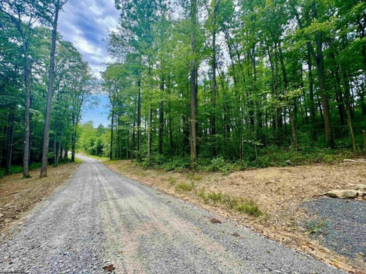 Picture of Residential Land For Sale in Bruceton Mills, West Virginia, United States