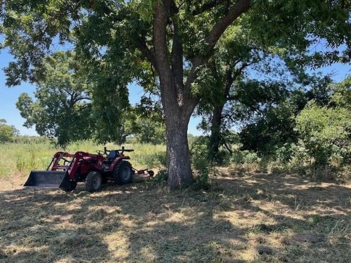 Picture of Residential Land For Sale in Bowie, Texas, United States