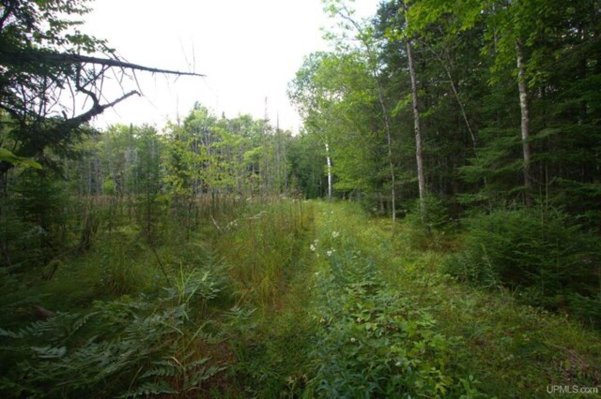 Picture of Residential Land For Sale in Watersmeet, Michigan, United States