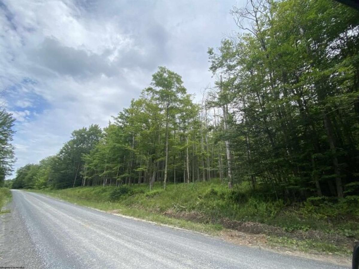 Picture of Residential Land For Sale in Davis, West Virginia, United States