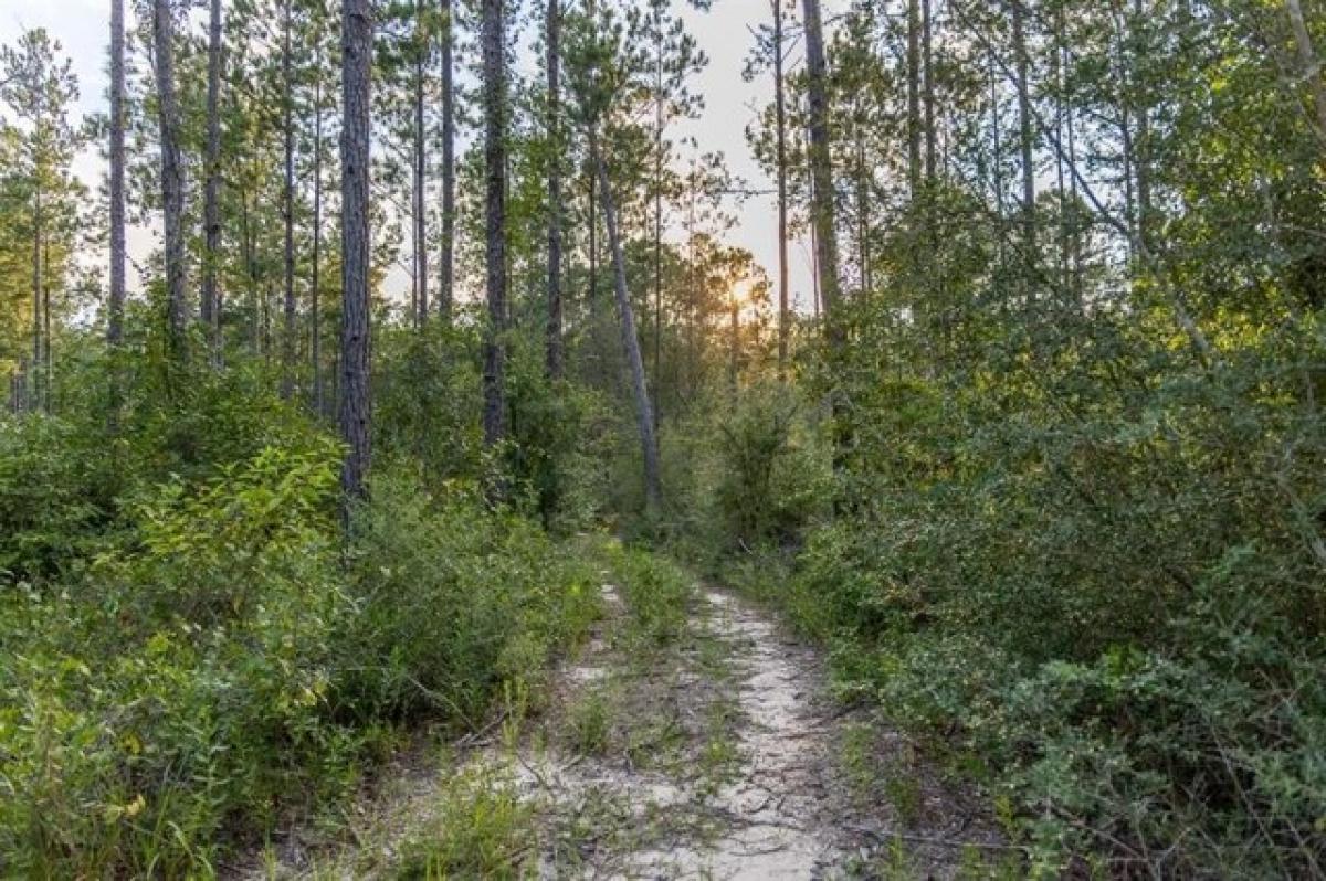 Picture of Residential Land For Sale in Robertsdale, Alabama, United States