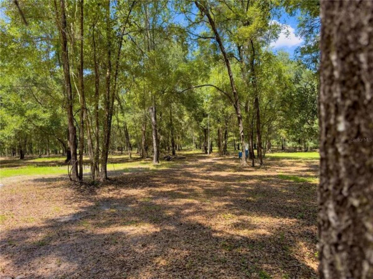 Picture of Residential Land For Sale in High Springs, Florida, United States