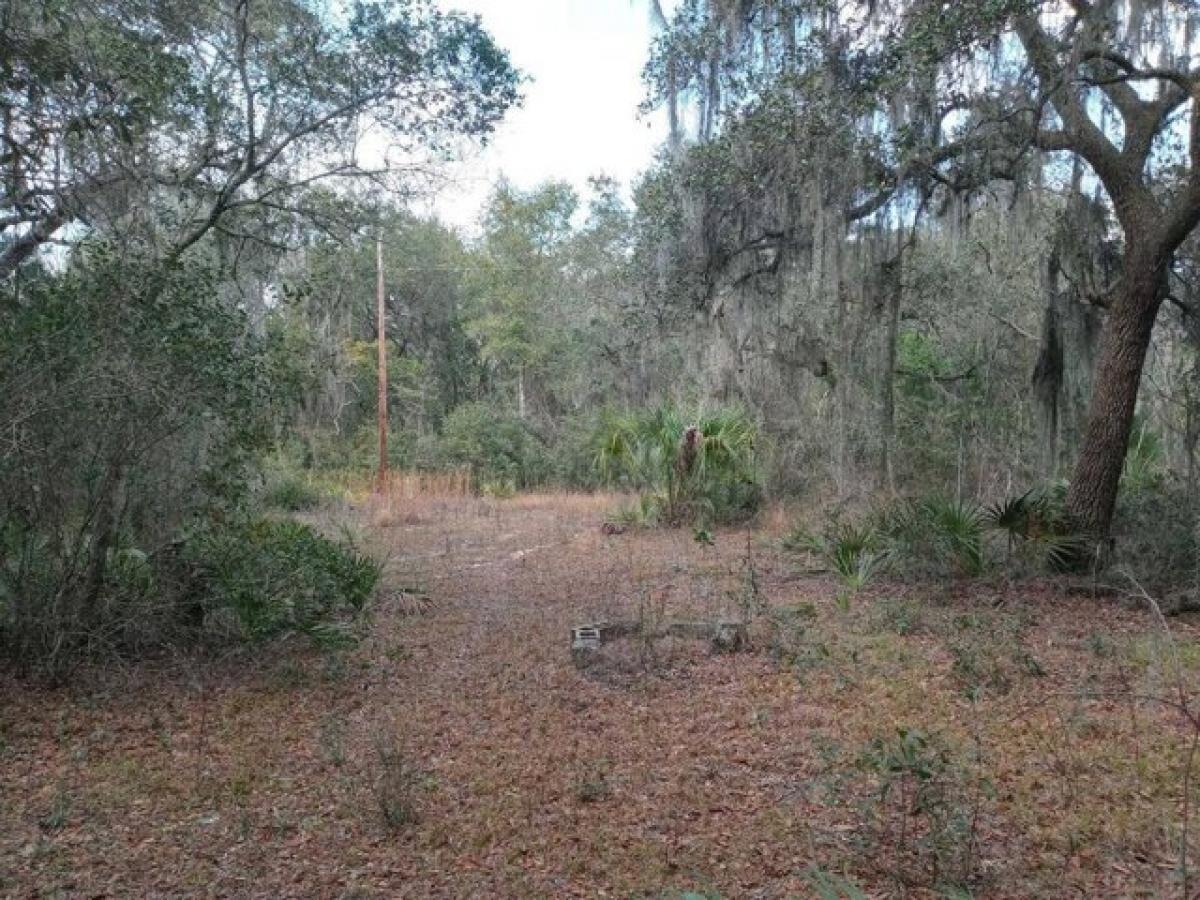 Picture of Residential Land For Sale in Fort Mccoy, Florida, United States