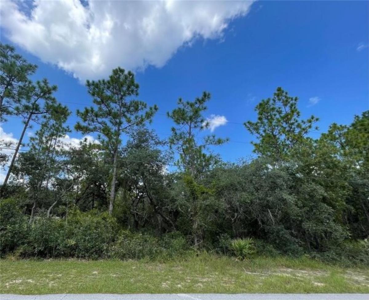 Picture of Residential Land For Sale in Homosassa, Florida, United States