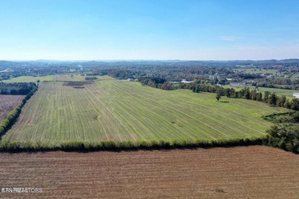 Picture of Residential Land For Sale in Greenback, Tennessee, United States