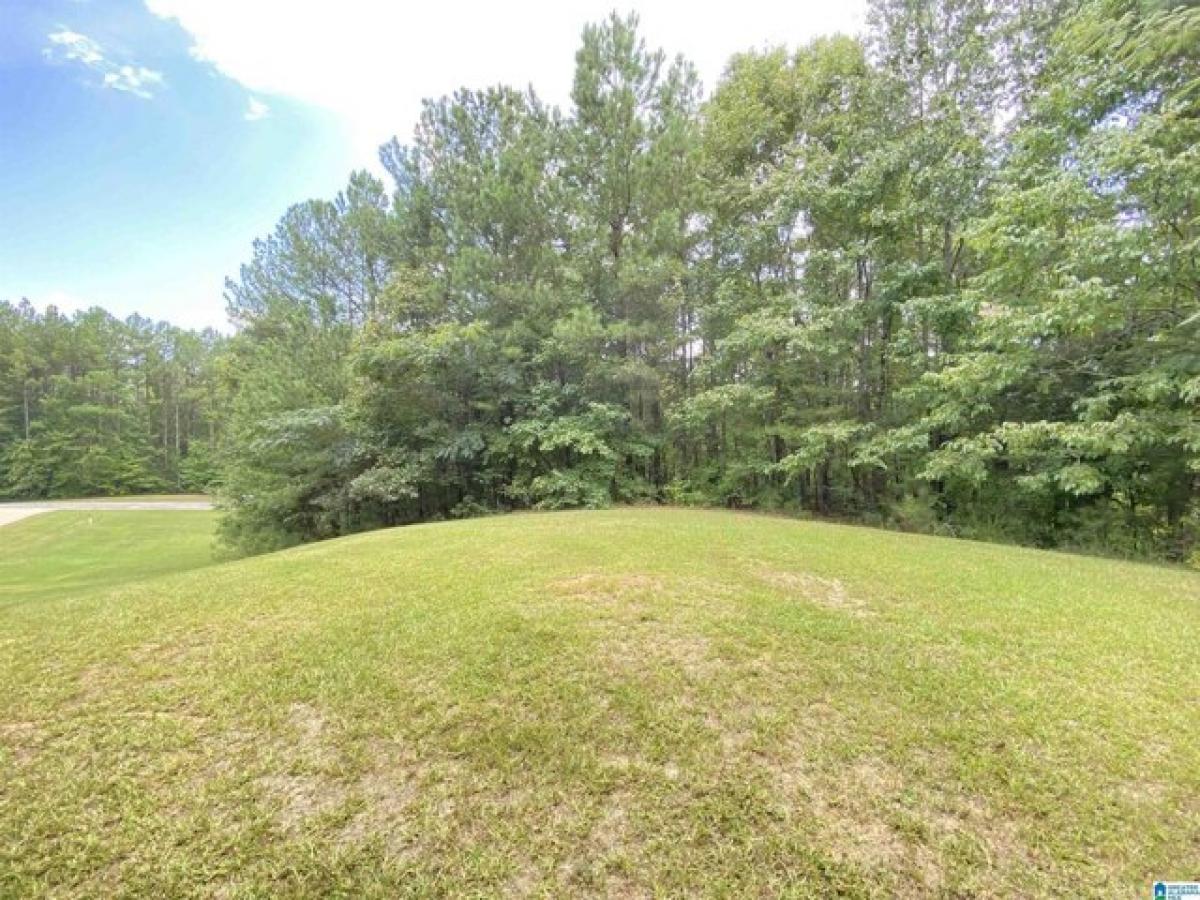 Picture of Residential Land For Sale in Odenville, Alabama, United States