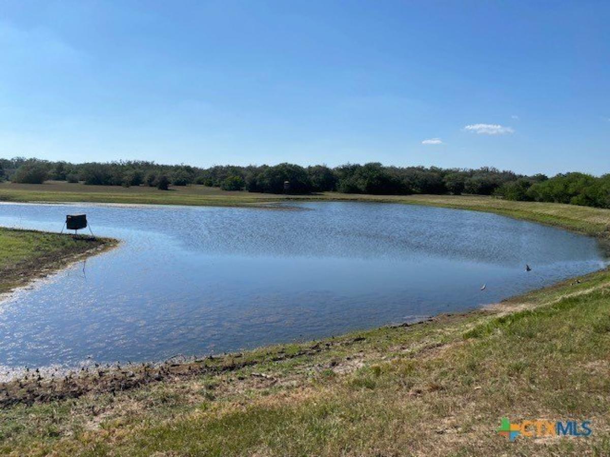 Picture of Residential Land For Sale in Goliad, Texas, United States