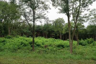 Residential Land For Sale in Three Rivers, Michigan