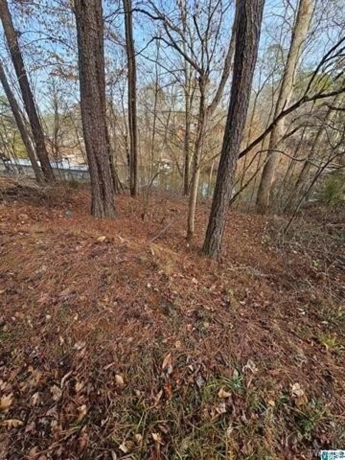 Picture of Residential Land For Sale in Bessemer, Alabama, United States