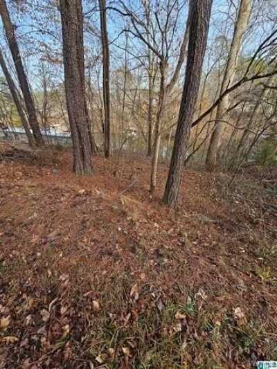 Residential Land For Sale in Bessemer, Alabama