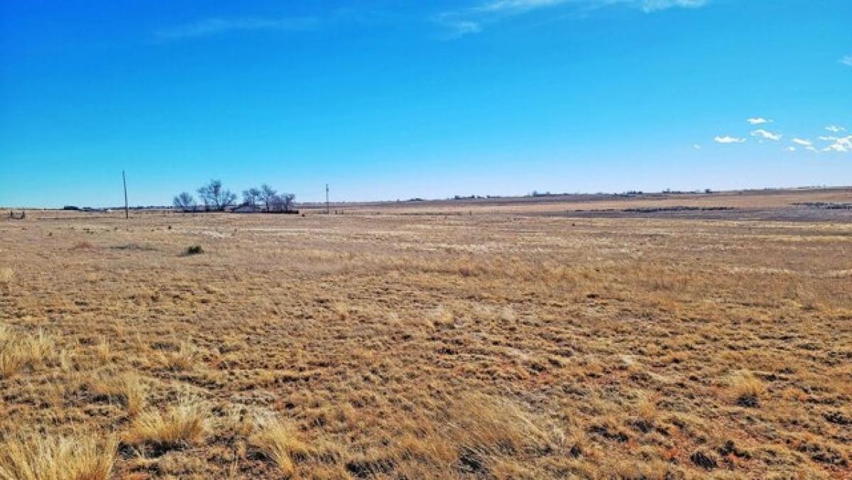 Picture of Residential Land For Sale in Moriarty, New Mexico, United States