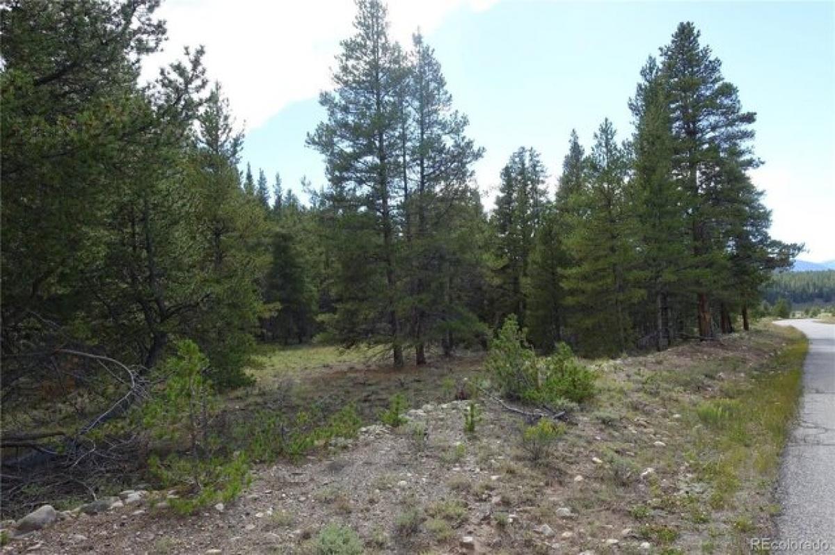 Picture of Residential Land For Sale in Leadville, Colorado, United States