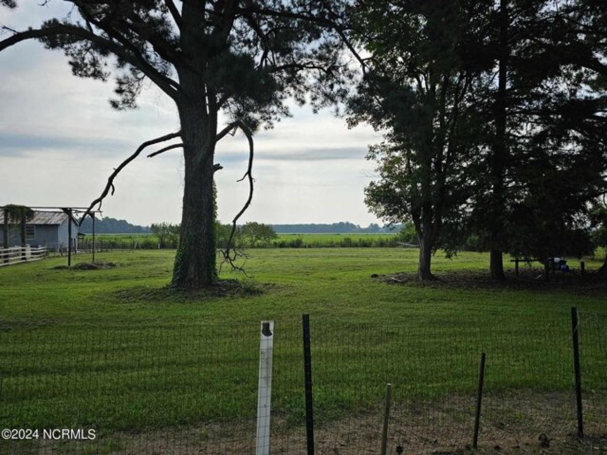 Picture of Residential Land For Sale in Robersonville, North Carolina, United States