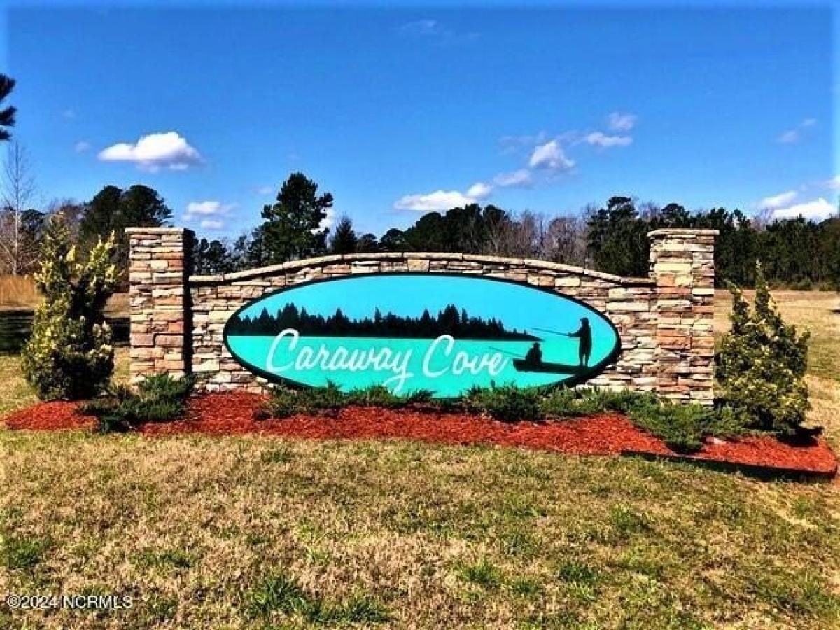 Picture of Residential Land For Sale in Arapahoe, North Carolina, United States