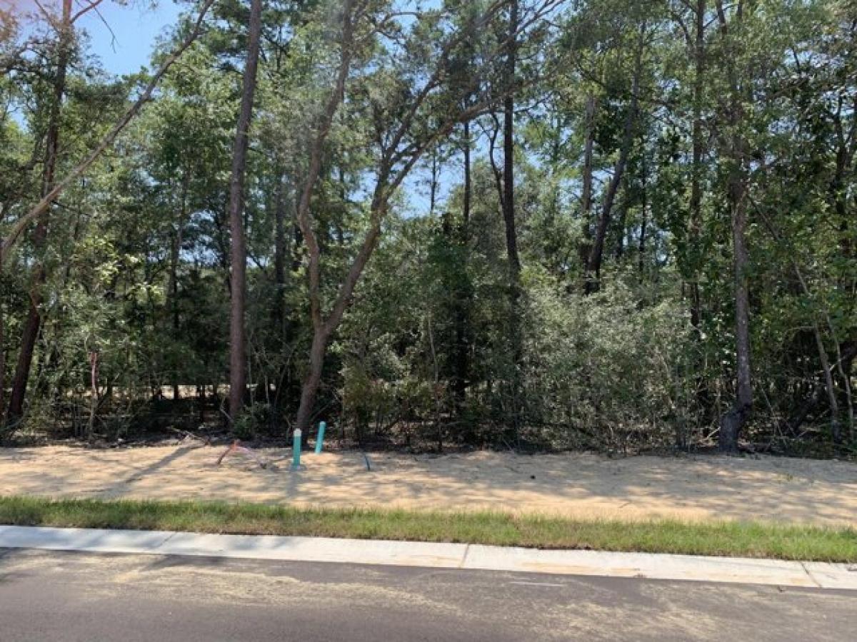 Picture of Residential Land For Sale in Niceville, Florida, United States