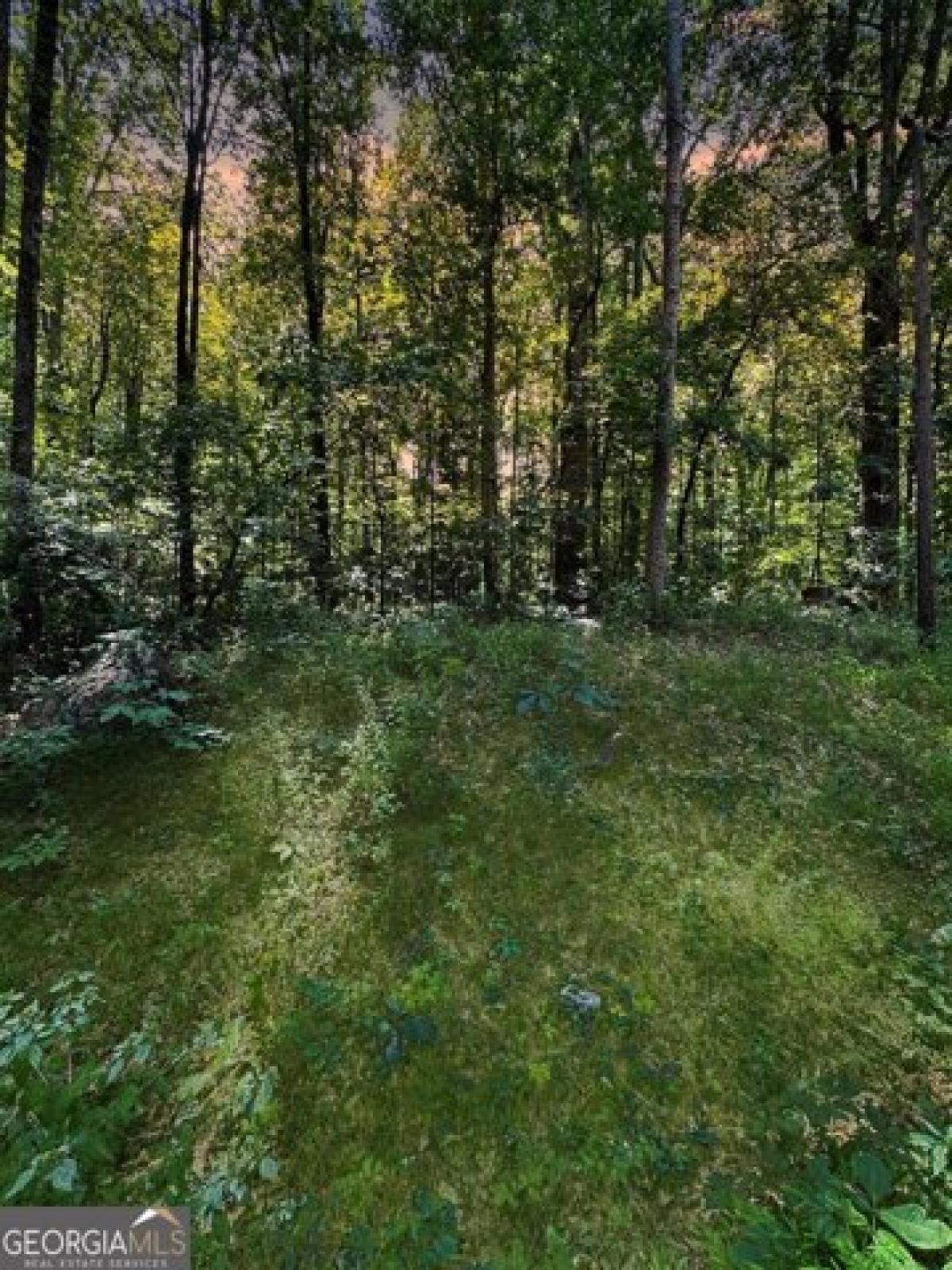 Picture of Residential Land For Sale in Morrow, Georgia, United States