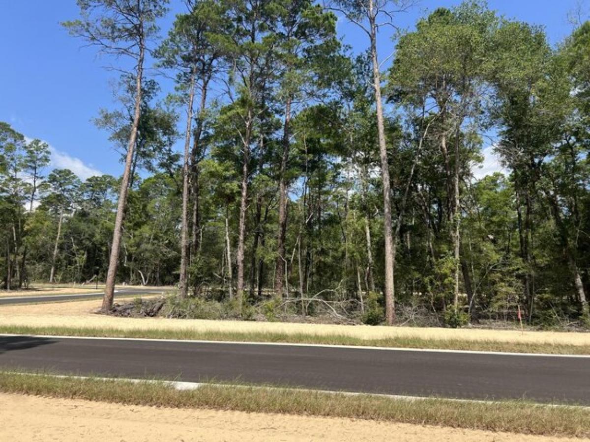 Picture of Residential Land For Sale in Niceville, Florida, United States